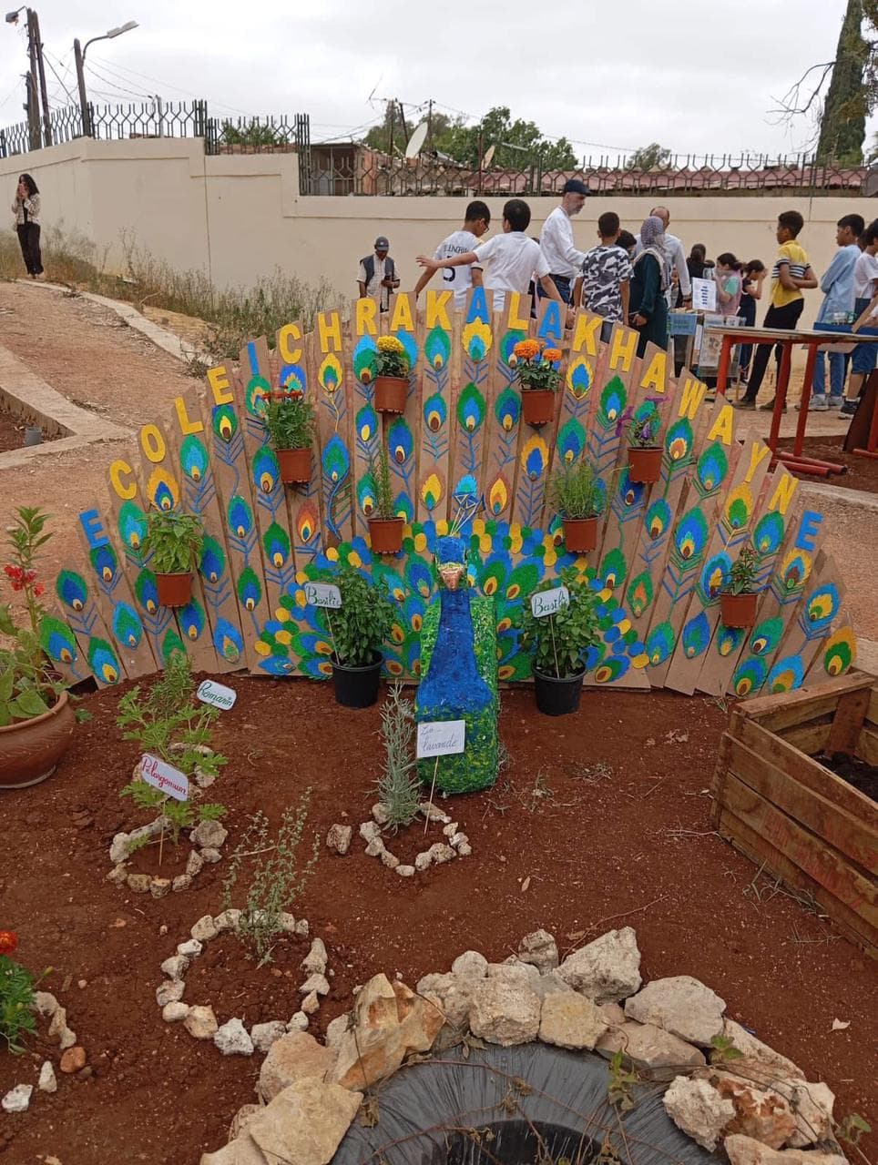 Projet scientifique — Institut français de Meknès 🌱
