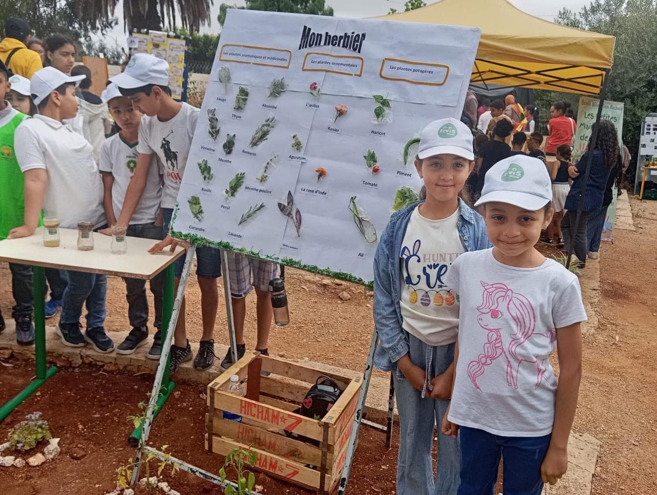 Projet scientifique — Institut français de Meknès 🌱