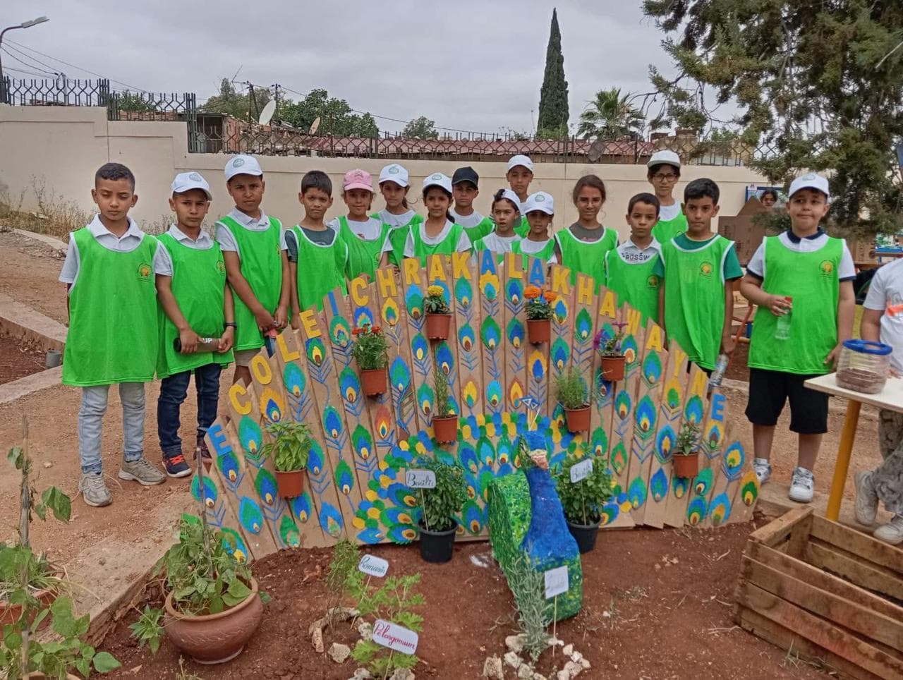 Projet scientifique — Institut français de Meknès 🌱
