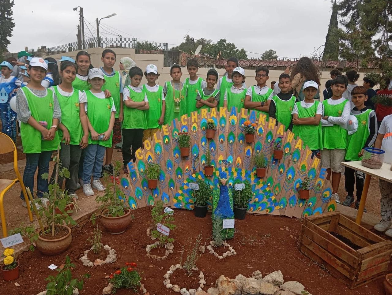 Projet scientifique — Institut français de Meknès 🌱
