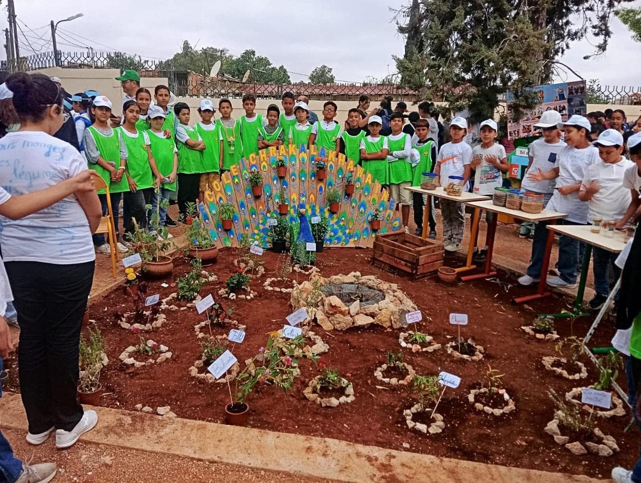 Projet scientifique — Institut français de Meknès 🌱