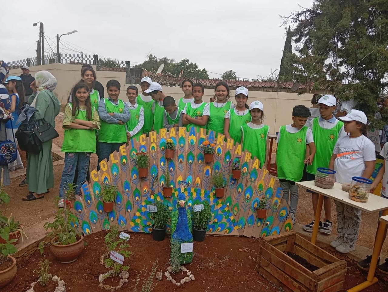 Projet scientifique — Institut français de Meknès 🌱