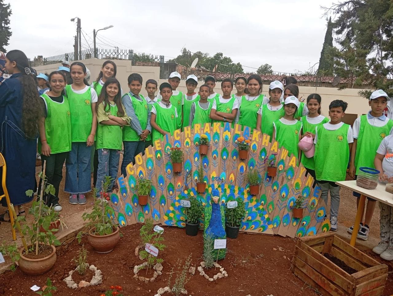 Projet scientifique — Institut français de Meknès 🌱