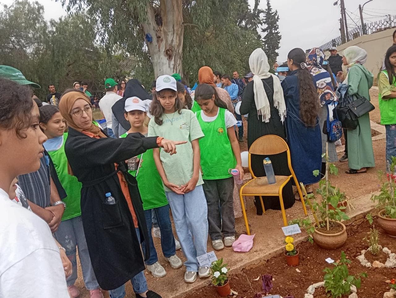 Projet scientifique — Institut français de Meknès 🌱